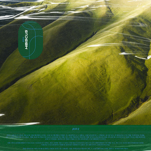 色小姐在线视频
